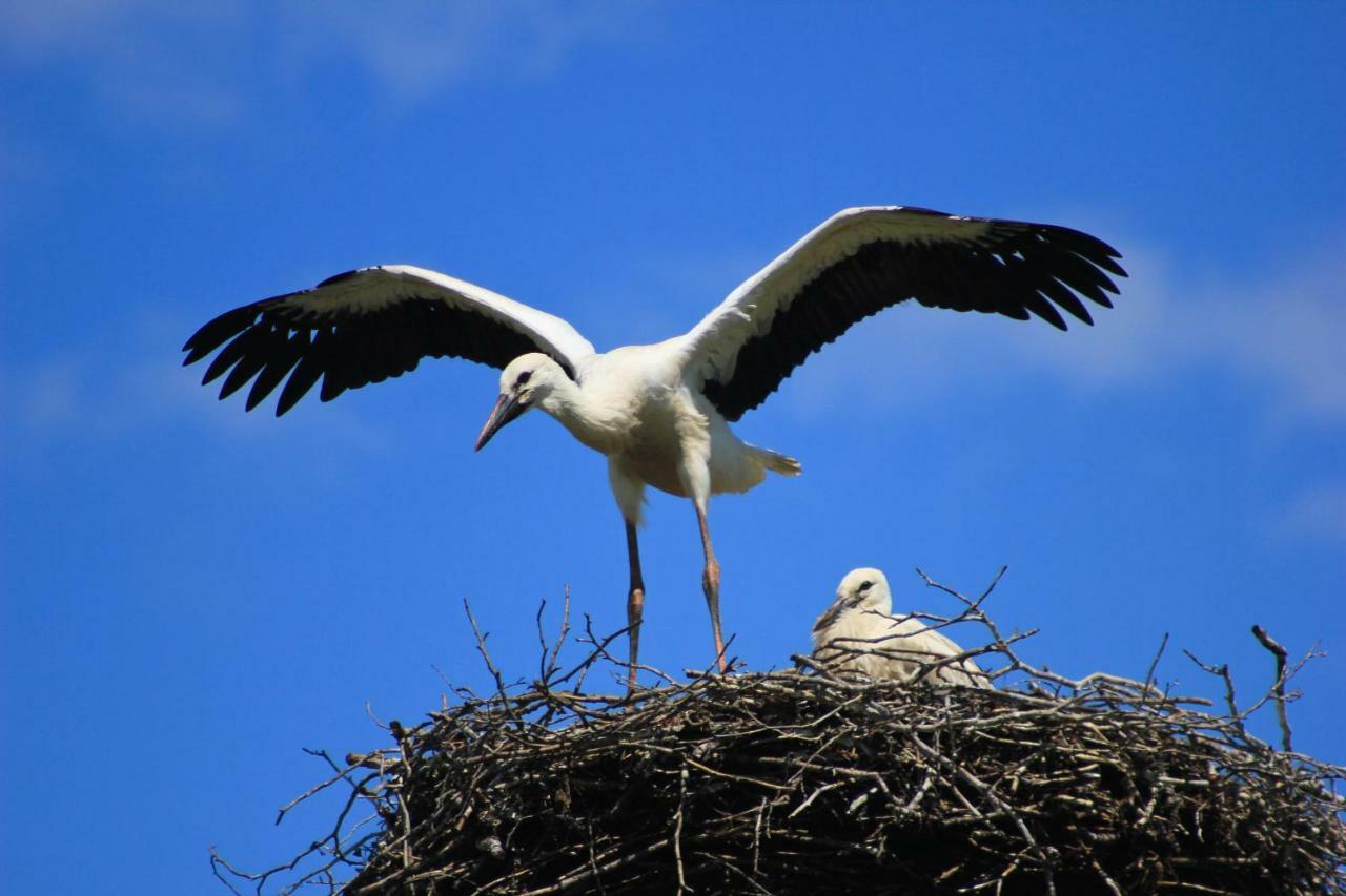 An Der Hainmuehle ลึบเบิน ภายนอก รูปภาพ